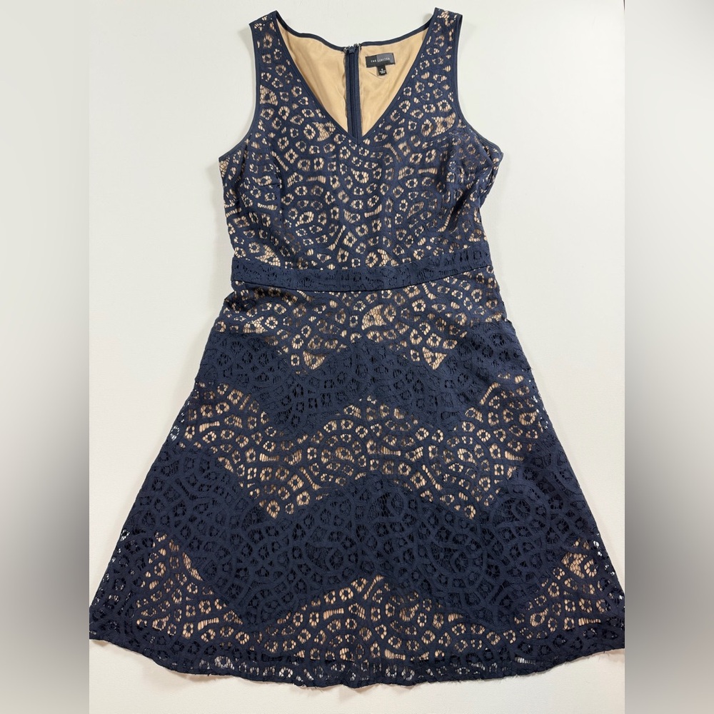 The Limited Navy Lace Fit & Flare Dress | Wedding Guest Cocktail | Size 6